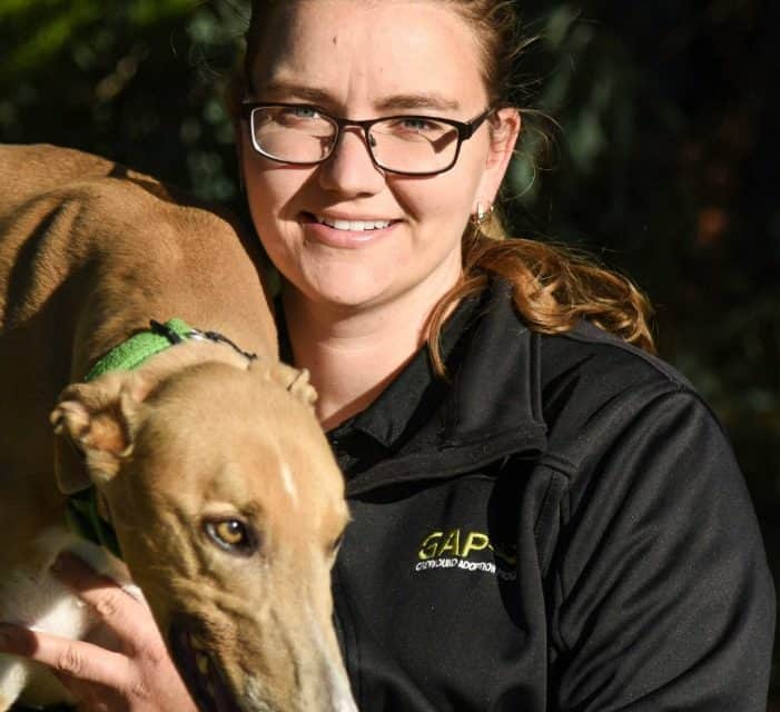 Diana Rayment’s top tips for greyhound adoption