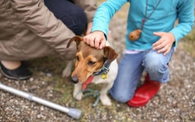 Jetpets Rescue Awards 2018