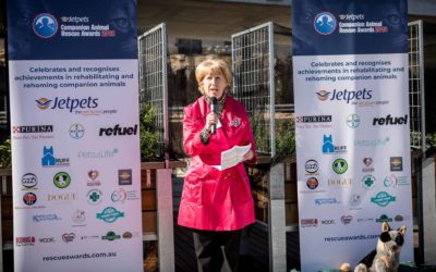 Pets4Life launches Australia’s first awards for companion animal rescue