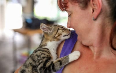 Jetpets Rescue Awards 2018 open for entries!