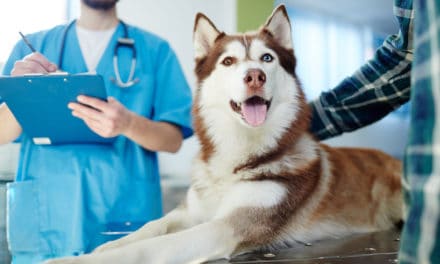 Pet tracker technology for veterinarians and pet guardians