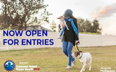 Share your pet adoption or foster story