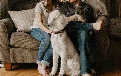 Cats and dogs surprising dietary preferences