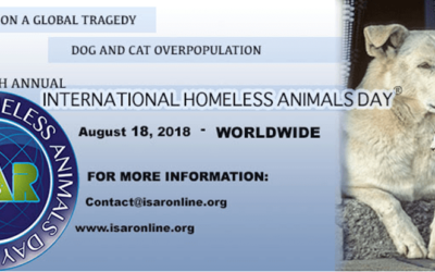 International Homeless Animals’ Day 2018