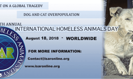 International Homeless Animals’ Day 2018
