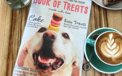 Recipes for cats and dogs