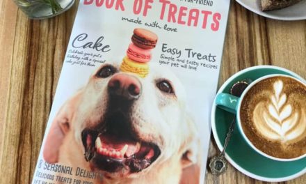 Recipes for cats and dogs