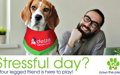 Inaugural Therapy Dog Awareness Month