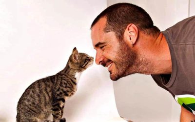 Unconditional Love Great Animal Stories