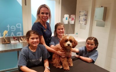 Future Vets Kids Camp in Sydney