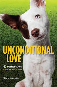 Unconditional love great animal stories