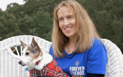 How Ned helped save thousands of Australian rescue pets
