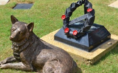Australian War Animal Day