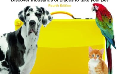 Travelling With Pets on Australia’s East Coast