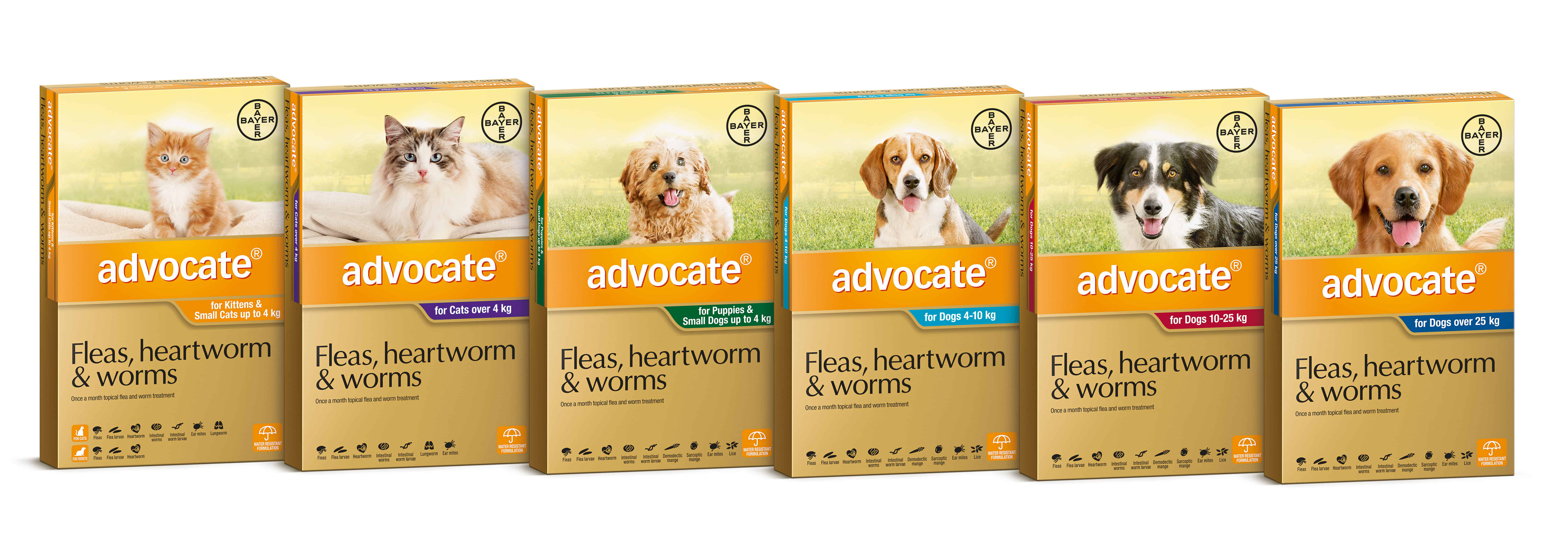 WIN a year’s supply of Advocate® for your cat or dog