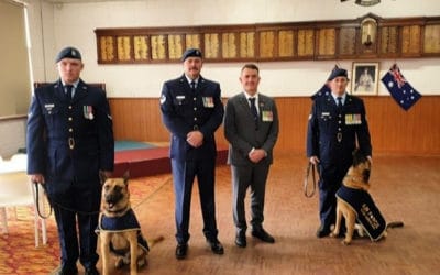 WWI War dog Digger awarded Blue Cross medal