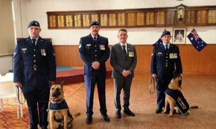 WWI War dog Digger awarded Blue Cross medal
