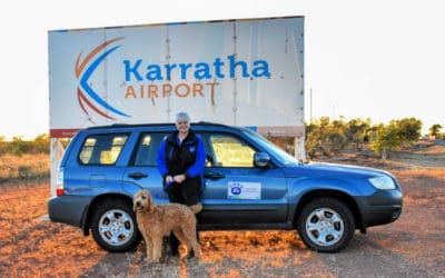 Tango jetsets to his new life