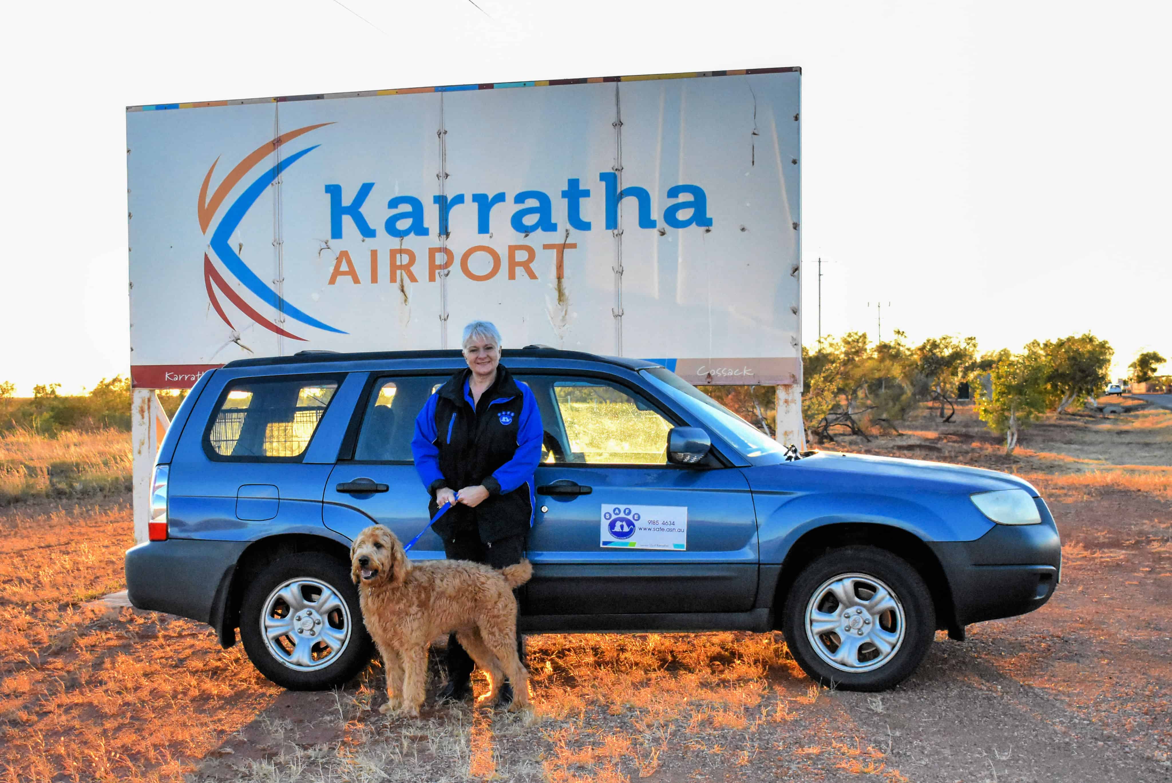 Tango jetsets to his new life Pets4Life Dog Training