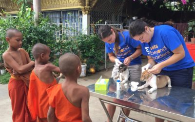 World Rabies Day vaccinate to eliminate