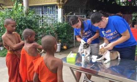 World Rabies Day vaccinate to eliminate