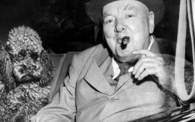 Dogs of the National Trust book