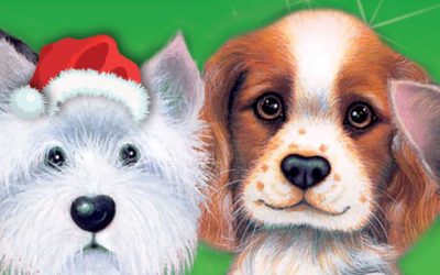 Give a Dog a Bone Keep Kitty Happy Christmas Appeal 2019