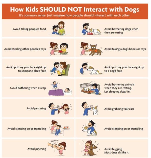 Kids and dogs - Pets4Life Dog Training