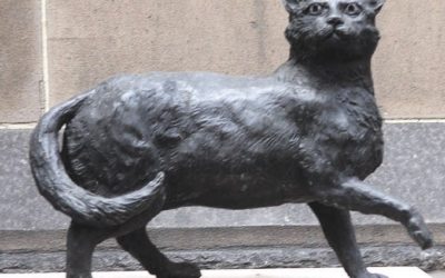 TRIM The Cartographer’s Cat