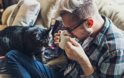 Lort Smith applauds new laws on pets and renting