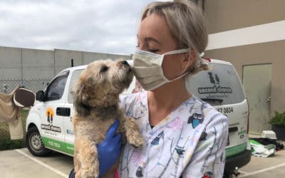 Second Chance Animal Rescue curbside pet drop off