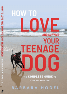 Survive your teenage dog book giveaway