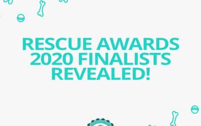 Jetpets Companion Animal Rescue Awards Finalists Revealed 2020