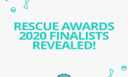 Jetpets Companion Animal Rescue Awards Finalists Revealed 2020