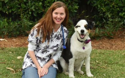 Dr Anne Quain tips to improve pet, vet, and pet-owner care during lockdown