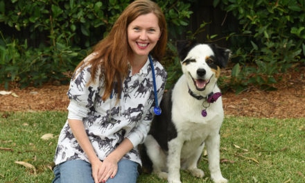 Dr Anne Quain tips to improve pet, vet, and pet-owner care during lockdown