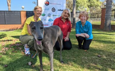 Pet Insurance Australia Companion Animal Rescue Awards 2021 launches