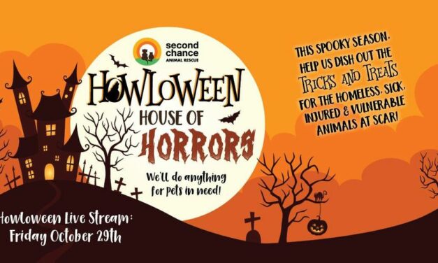 Second Chance Animal Rescue Howloween fundraiser