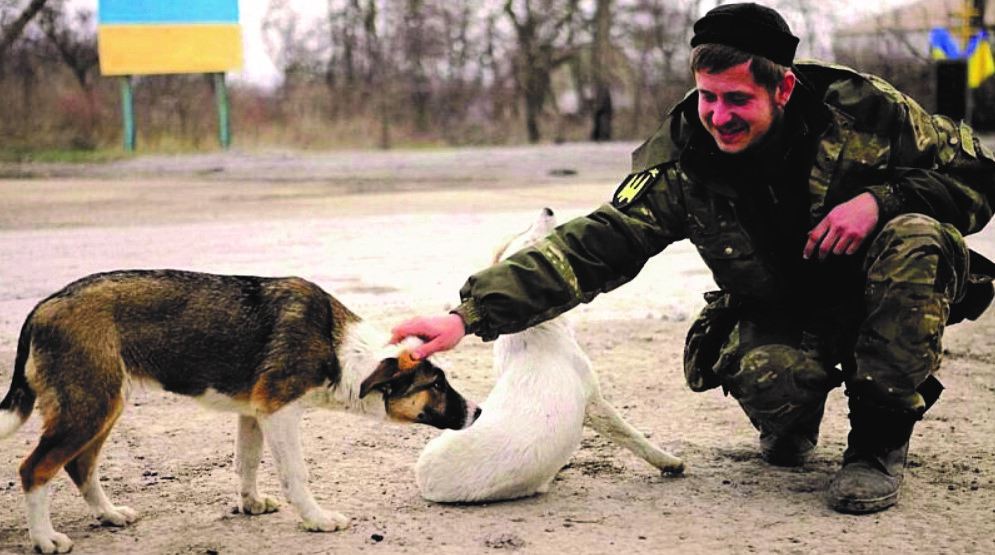 Animals of Ukraine need help