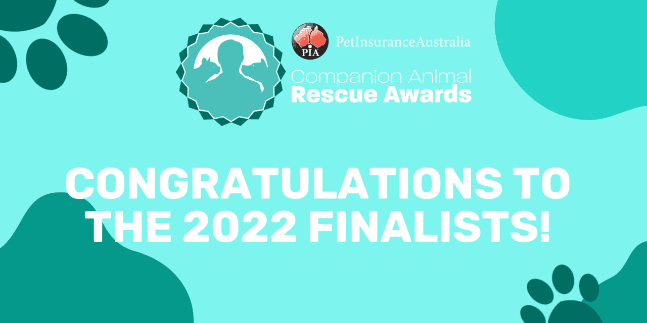 Companion Animal Rescue Awards 2022 Finalists revealed