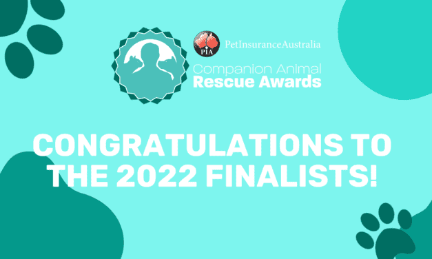 Companion Animal Rescue Awards 2022 Finalists revealed