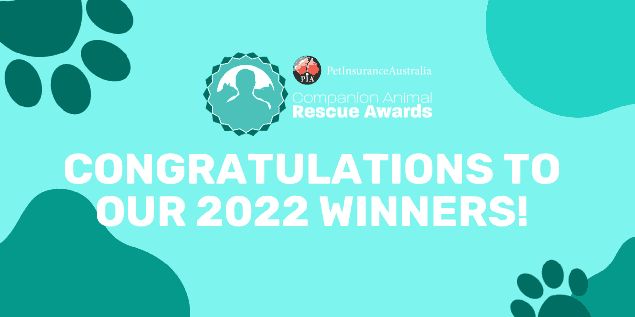 Companion Animal Rescue Awards 2022 Winners