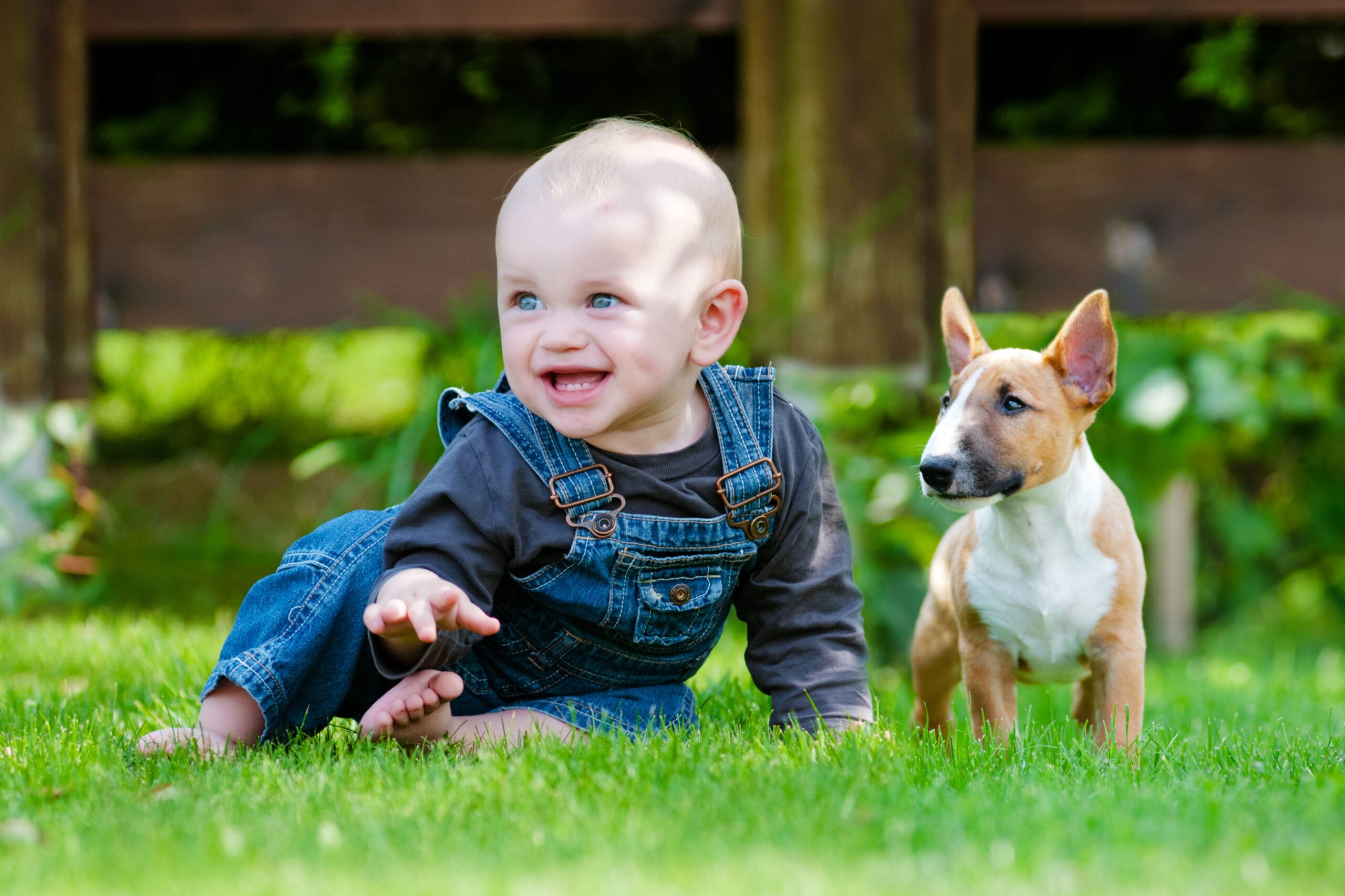 Baby boy smiling and sitting on grass next to tan brown and white puppy